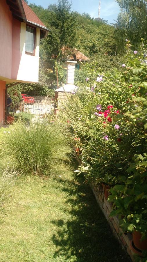 Apartman House Annesa SJJ Exterior foto